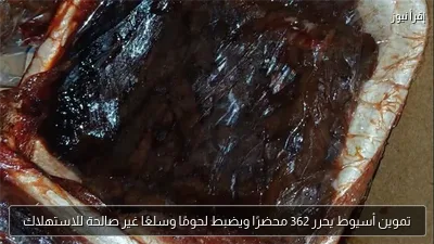 تموين أسيوط يحرر 362 محضرًا ويضبط لحومًا وسلعًا غير صالحة للاستهلاك