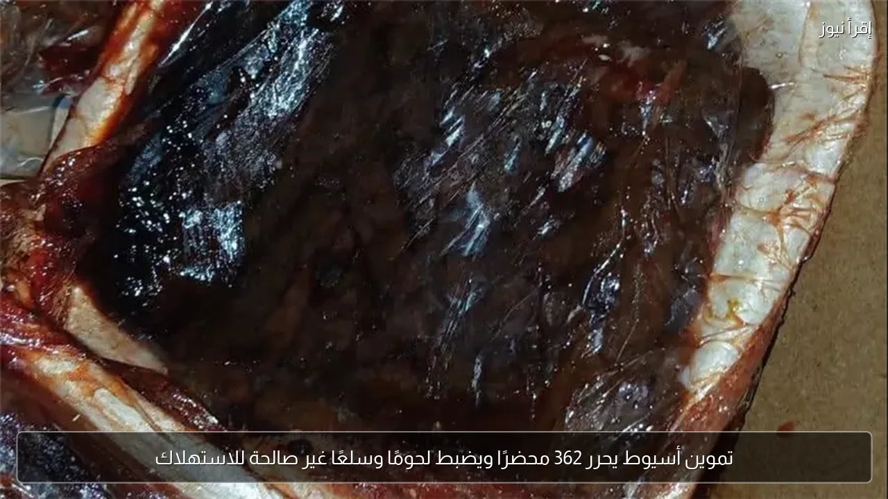 تموين أسيوط يحرر 362 محضرًا ويضبط لحومًا وسلعًا غير صالحة للاستهلاك