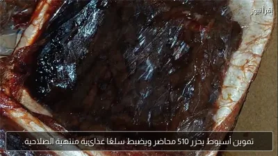 تموين أسيوط يحرر 510 محاضر ويضبط سلعًا غذائية منتهية الصلاحية