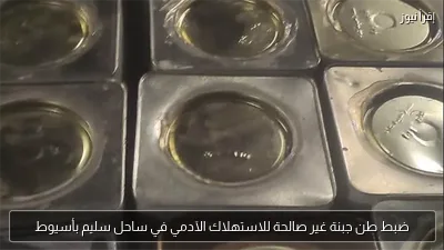 ضبط طن جبنة غير صالحة للاستهلاك الآدمي في ساحل سليم بأسيوط