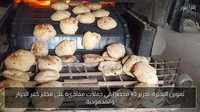 تموين البحيرة: تحرير 40 محضرًا في حملات مفاجئة على مخابز كفر الدوار والمحمودية
