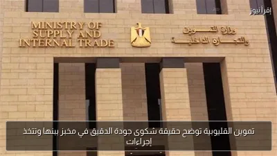 تموين القليوبية توضح حقيقة شكوى جودة الدقيق في مخبز ببنها وتتخذ إجراءات