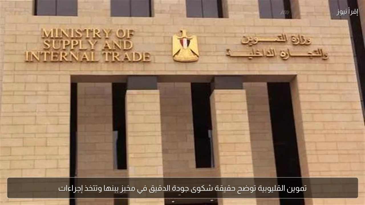 تموين القليوبية توضح حقيقة شكوى جودة الدقيق في مخبز ببنها وتتخذ إجراءات