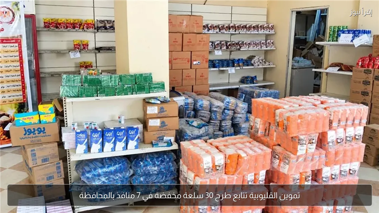 تموين القليوبية تتابع طرح 30 سلعة مخفضة في 7 منافذ بالمحافظة