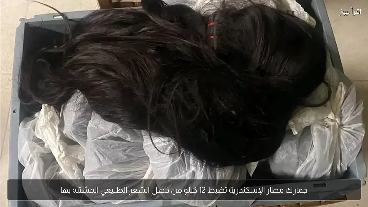 جمارك مطار الإسكندرية تضبط 12 كيلو من خصل الشعر الطبيعي المشتبه بها