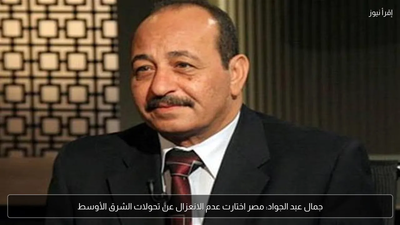 جمال عبد الجواد: مصر اختارت عدم الانعزال عن تحولات الشرق الأوسط