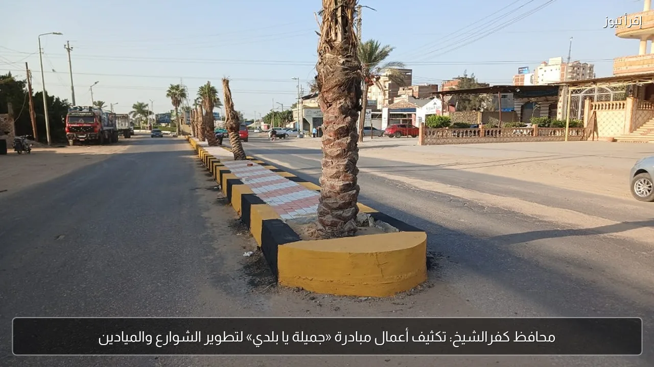 محافظ كفرالشيخ: تكثيف أعمال مبادرة «جميلة يا بلدي» لتطوير الشوارع والميادين