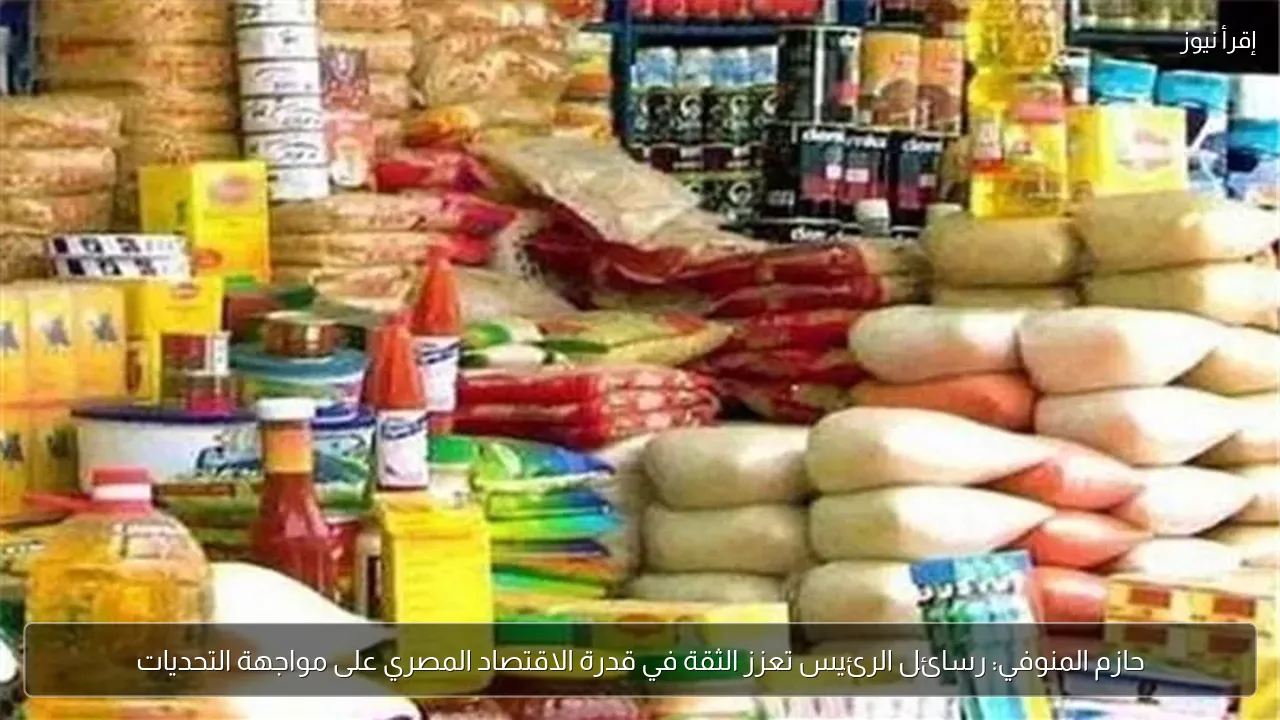 حازم المنوفي: رسائل الرئيس تعزز الثقة في قدرة الاقتصاد المصري على مواجهة التحديات