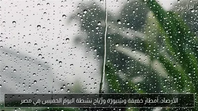 الأرصاد: أمطار خفيفة وشبورة ورياح نشطة اليوم الخميس في مصر