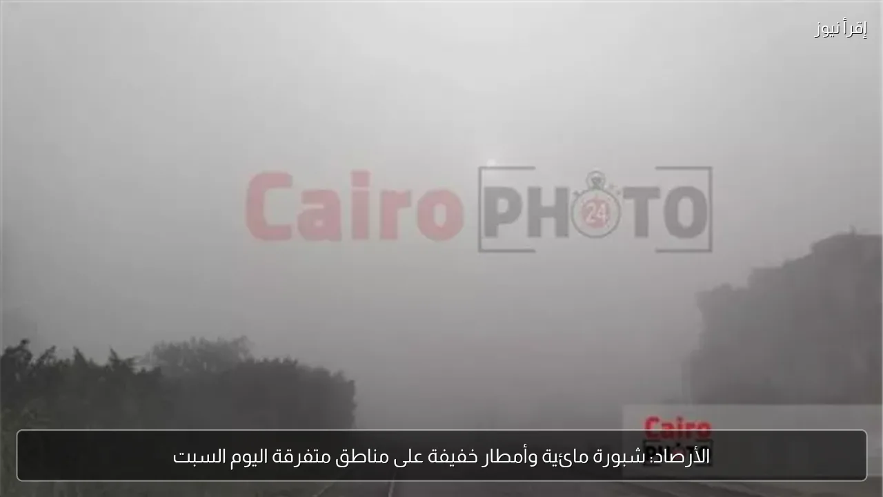 الأرصاد: شبورة مائية وأمطار خفيفة على مناطق متفرقة اليوم السبت