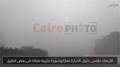الأرصاد: طقس مائل للحرارة نهارًا وشبورة مائية صباحًا على بعض الطرق