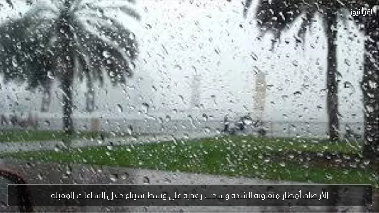 الأرصاد: أمطار متفاوتة الشدة وسحب رعدية على وسط سيناء خلال الساعات المقبلة