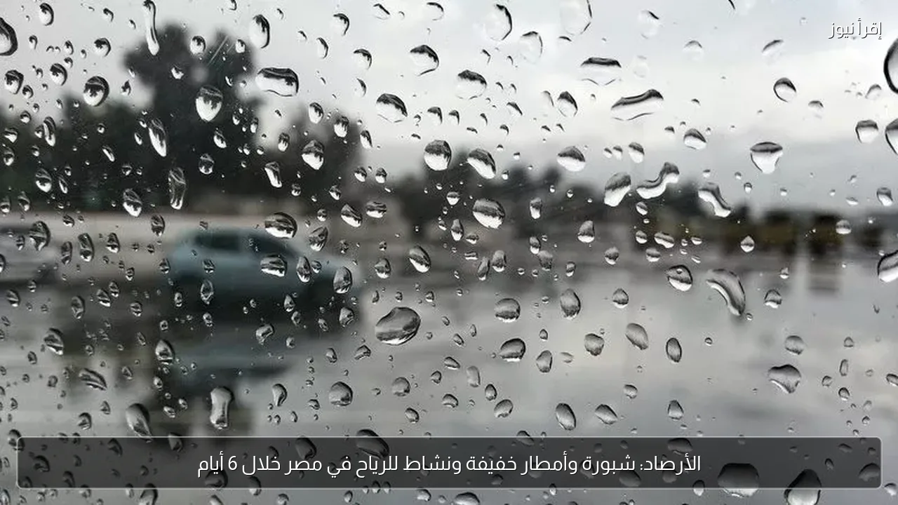 الأرصاد: شبورة وأمطار خفيفة ونشاط للرياح في مصر خلال 6 أيام