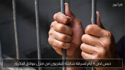 حبس لص 4 أيام لسرقة شاشة تليفزيون من منزل ببولاق الدكرور