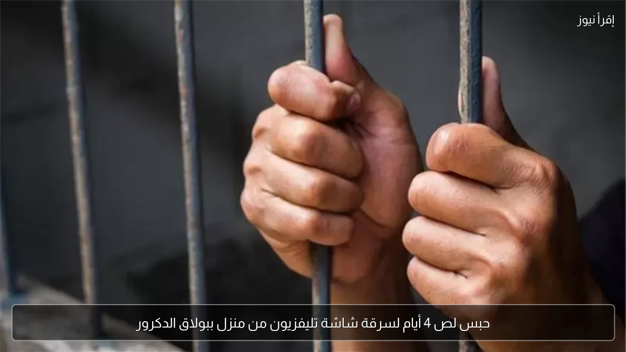 حبس لص 4 أيام لسرقة شاشة تليفزيون من منزل ببولاق الدكرور