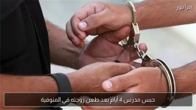 حبس مدرس 4 أيام بعد طعن زوجته في المنوفية