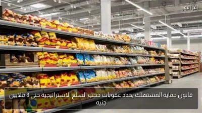 قانون حماية المستهلك يحدد عقوبات حجب السلع الاستراتيجية حتى 3 ملايين جنيه