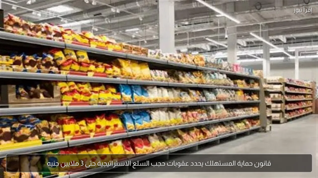 قانون حماية المستهلك يحدد عقوبات حجب السلع الاستراتيجية حتى 3 ملايين جنيه