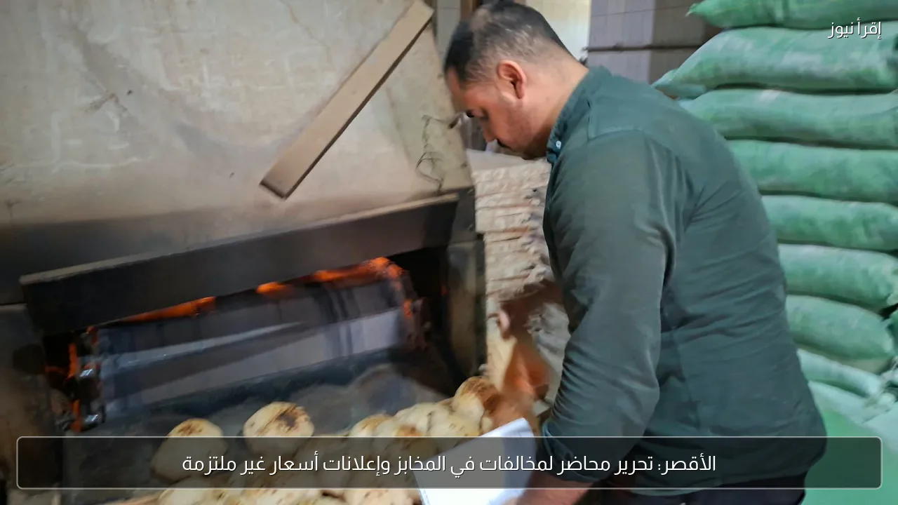 الأقصر: تحرير محاضر لمخالفات في المخابز وإعلانات أسعار غير ملتزمة