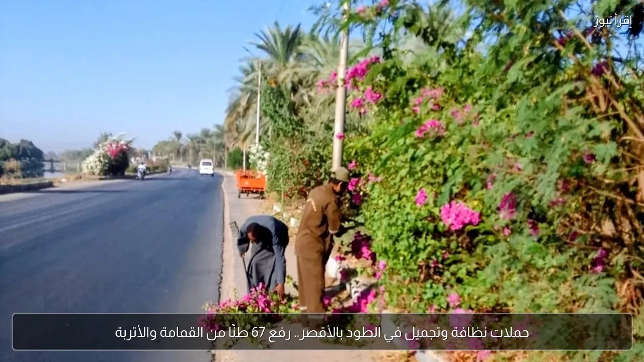حملات نظافة وتجميل في الطود بالأقصر.. رفع 67 طنًا من القمامة والأتربة