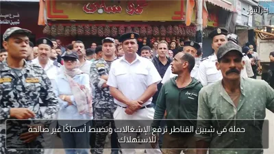 حملة في شبين القناطر ترفع الإشغالات وتضبط أسماكًا غير صالحة للاستهلاك