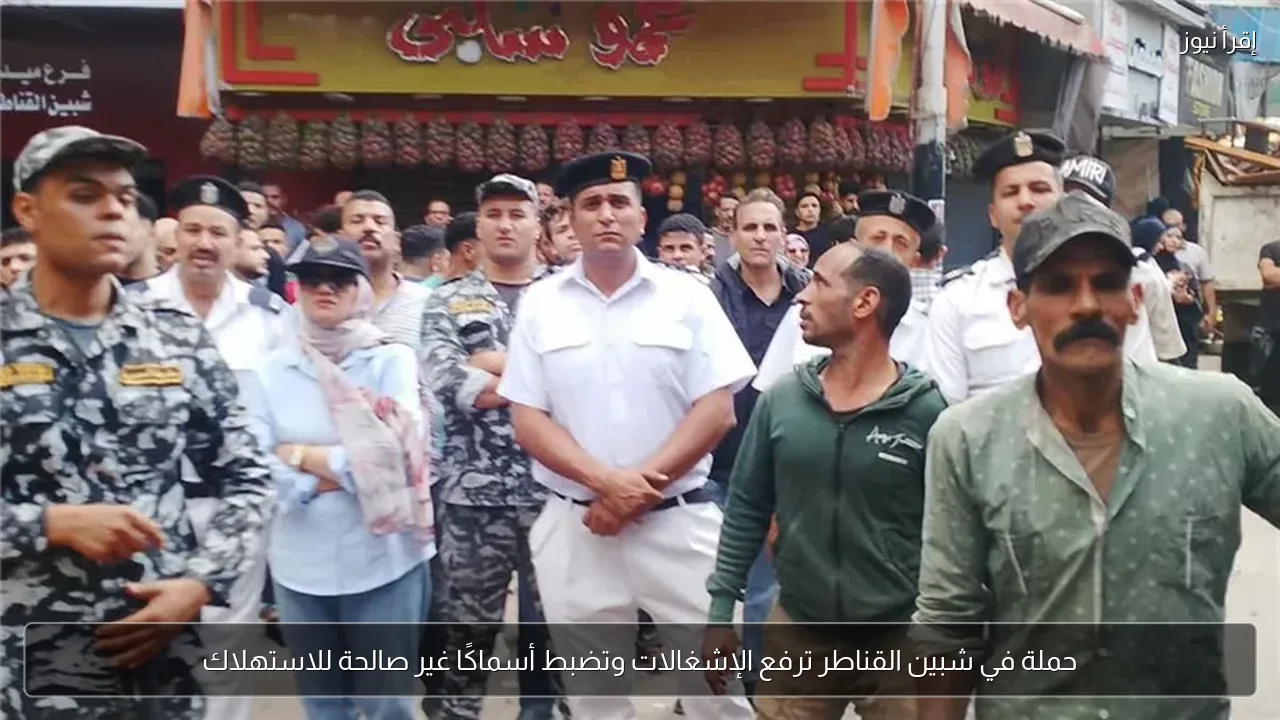 حملة في شبين القناطر ترفع الإشغالات وتضبط أسماكًا غير صالحة للاستهلاك