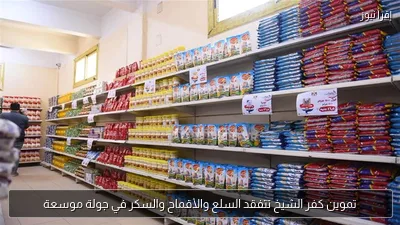 تموين كفر الشيخ تتفقد السلع والأقماح والسكر في جولة موسعة