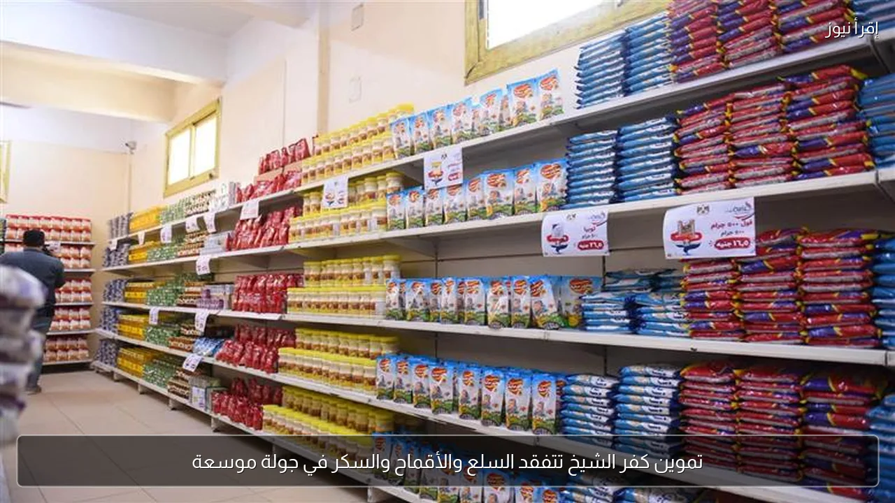 تموين كفر الشيخ تتفقد السلع والأقماح والسكر في جولة موسعة