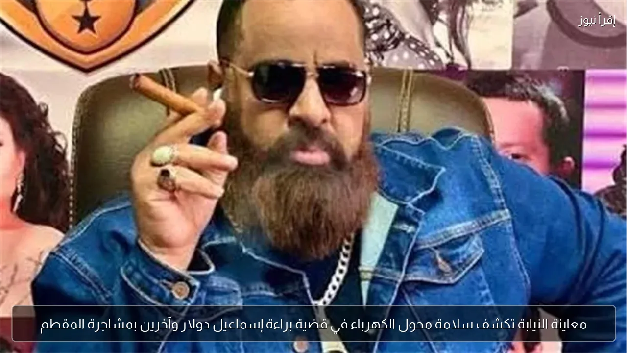 معاينة النيابة تكشف سلامة محول الكهرباء في قضية براءة إسماعيل دولار وآخرين بمشاجرة المقطم