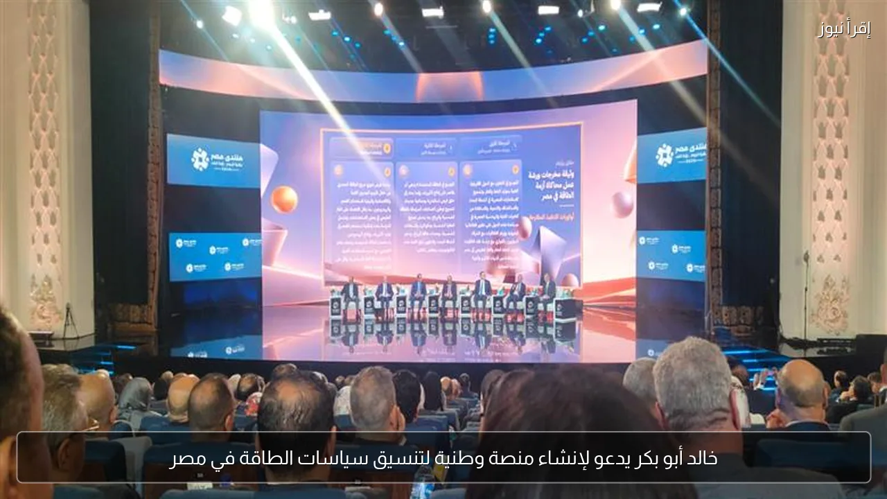 خالد أبو بكر يدعو لإنشاء منصة وطنية لتنسيق سياسات الطاقة في مصر