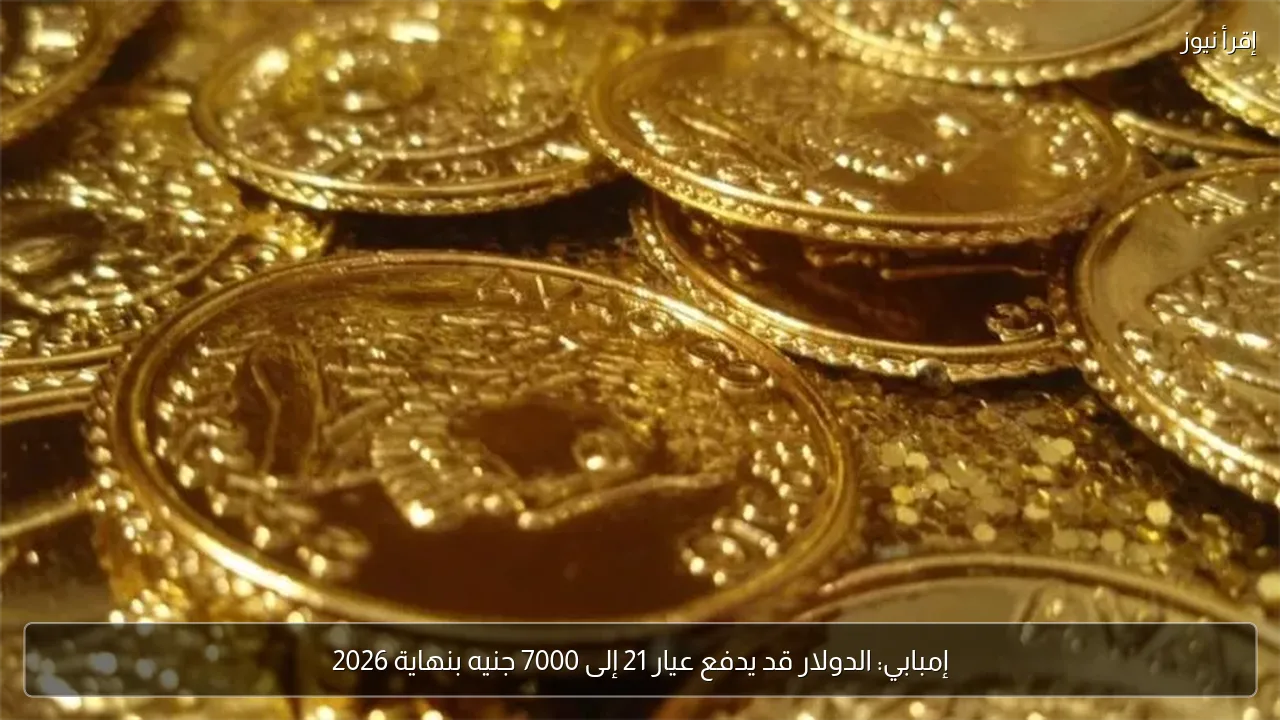 إمبابي: الدولار قد يدفع عيار 21 إلى 7000 جنيه بنهاية 2026