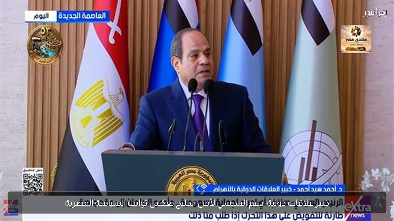 خبير علاقات دولية: دعم السيسي لأمن الخليج يعكس ثوابت السياسة المصرية