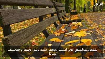 طقس كفرالشيخ اليوم الخميس: خريفي معتدل نهارًا وشبورة متوسطة صباحًا