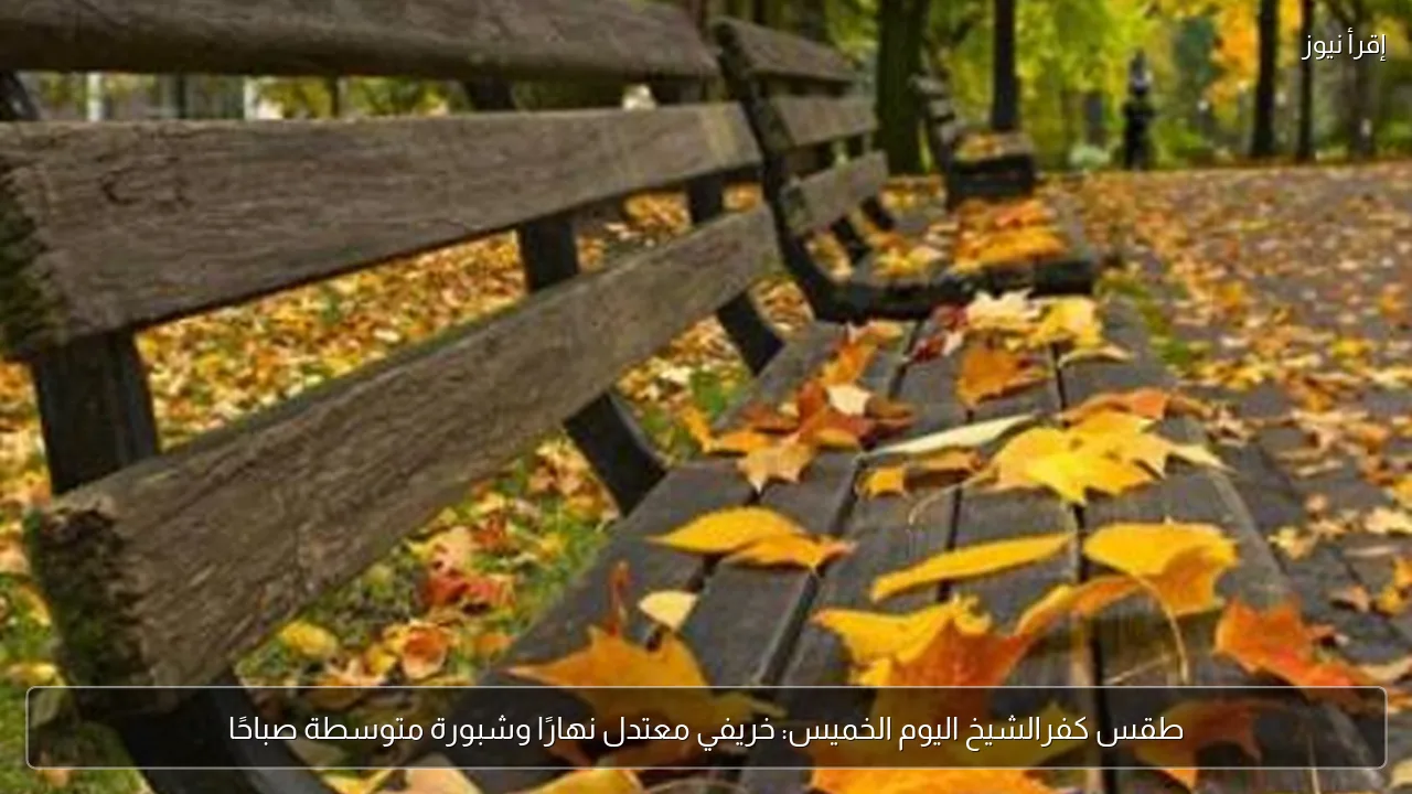 طقس كفرالشيخ اليوم الخميس: خريفي معتدل نهارًا وشبورة متوسطة صباحًا