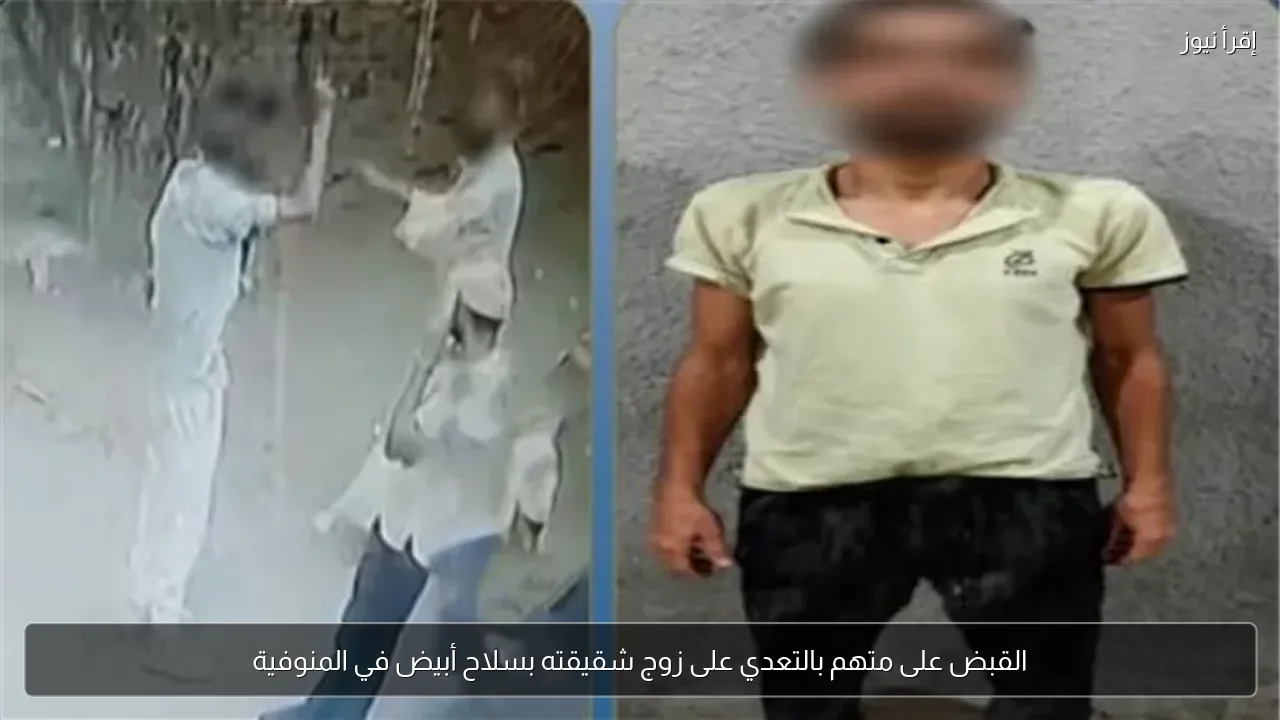 القبض على متهم بالتعدي على زوج شقيقته بسلاح أبيض في المنوفية