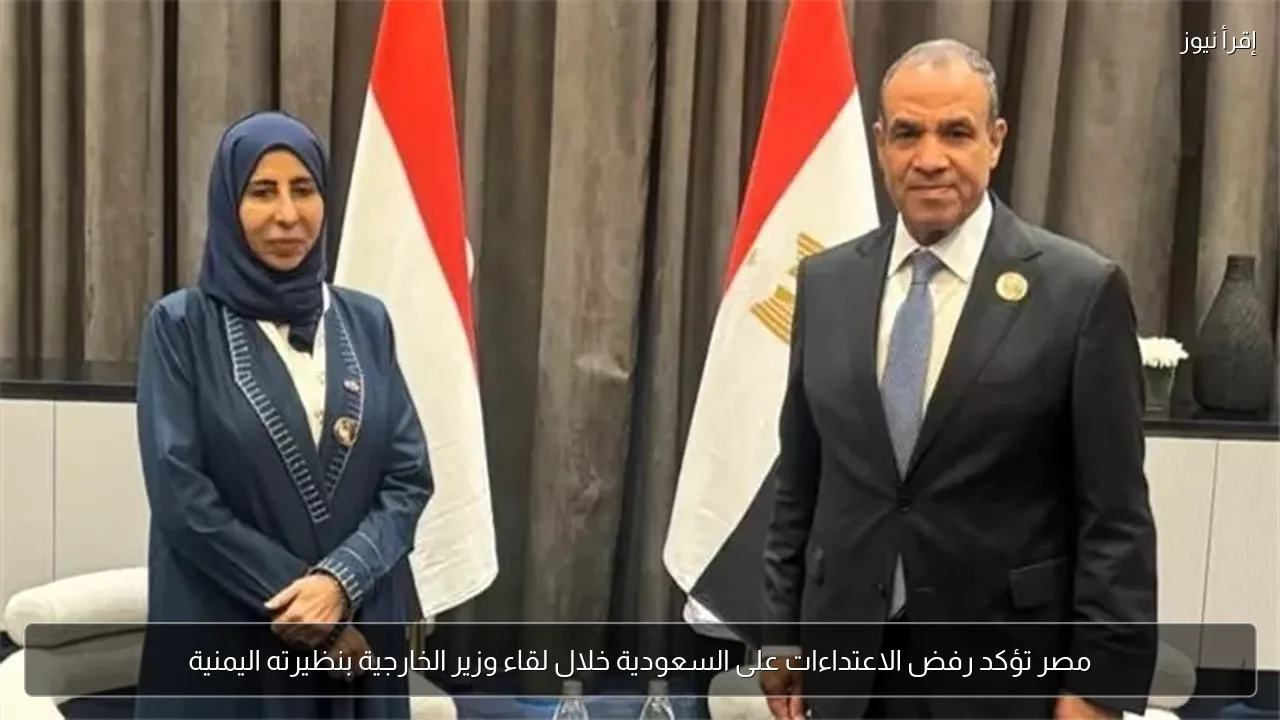 مصر تؤكد رفض الاعتداءات على السعودية خلال لقاء وزير الخارجية بنظيرته اليمنية