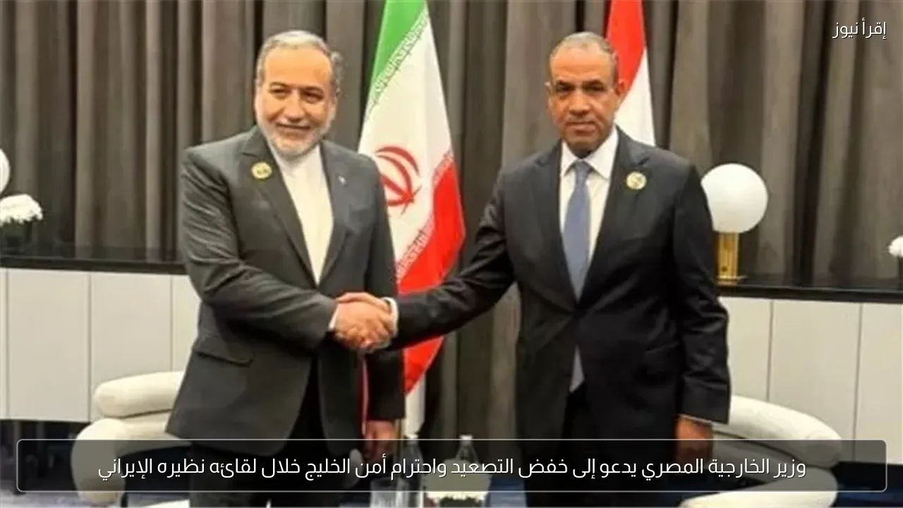وزير الخارجية المصري يدعو إلى خفض التصعيد واحترام أمن الخليج خلال لقائه نظيره الإيراني