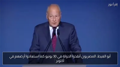أبو الغيط: المصريون أنقذوا الدولة في 30 يونيو كما استعادوا أرضهم في أكتوبر