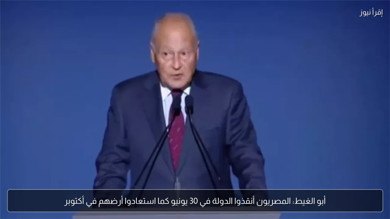 أبو الغيط: المصريون أنقذوا الدولة في 30 يونيو كما استعادوا أرضهم في أكتوبر