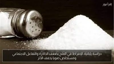 دراسة يابانية: الإفراط في الملح يضعف الذاكرة والتفاعل الاجتماعي ومستخلص صويا يخفف الأثر
