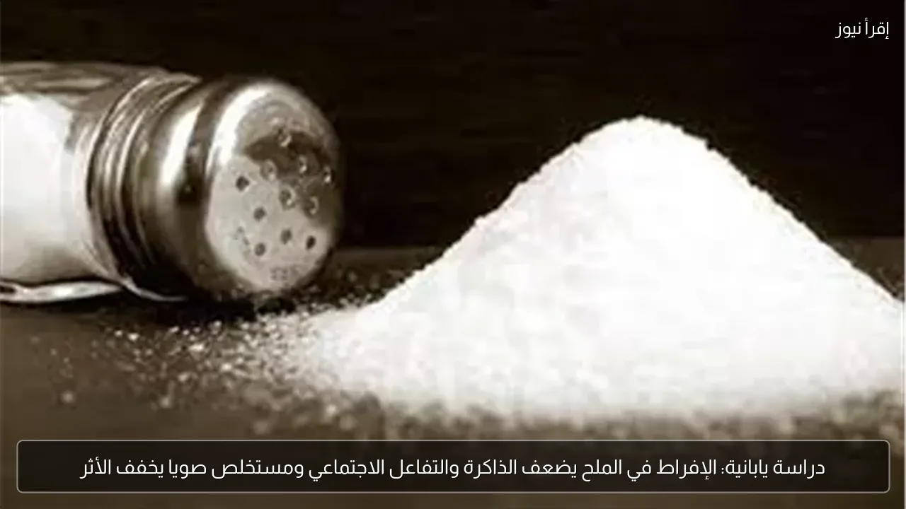 دراسة يابانية: الإفراط في الملح يضعف الذاكرة والتفاعل الاجتماعي ومستخلص صويا يخفف الأثر