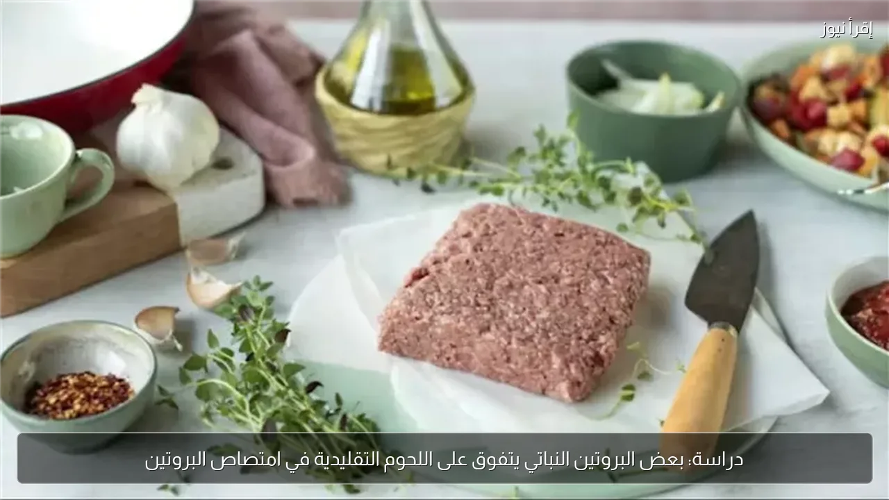 دراسة: بعض البروتين النباتي يتفوق على اللحوم التقليدية في امتصاص البروتين