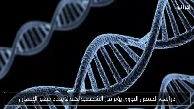 دراسة: الحمض النووي يؤثر في الشخصية لكنه لا يحدد مصير الإنسان