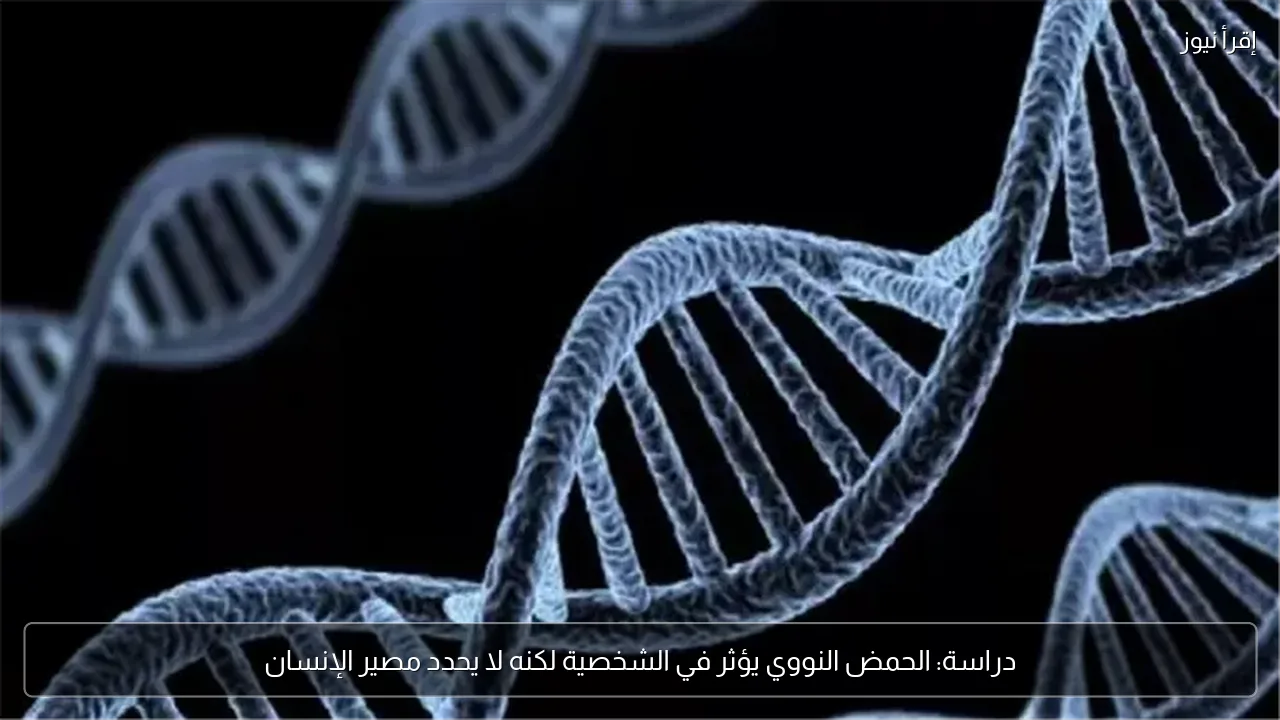 دراسة: الحمض النووي يؤثر في الشخصية لكنه لا يحدد مصير الإنسان