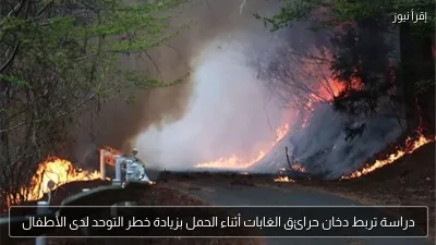 دراسة تربط دخان حرائق الغابات أثناء الحمل بزيادة خطر التوحد لدى الأطفال
