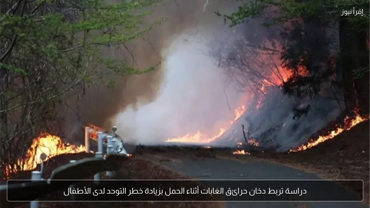 دراسة تربط دخان حرائق الغابات أثناء الحمل بزيادة خطر التوحد لدى الأطفال