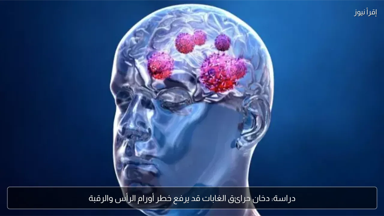 دراسة: دخان حرائق الغابات قد يرفع خطر أورام الرأس والرقبة