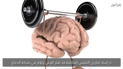 دراسة: تمارين التنفس المكثفة قد تغيّر الوعي وتؤثر في نشاط الدماغ