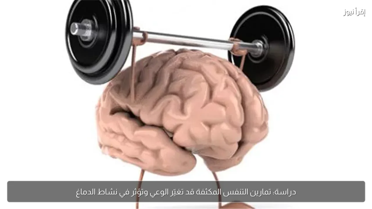 دراسة: تمارين التنفس المكثفة قد تغيّر الوعي وتؤثر في نشاط الدماغ