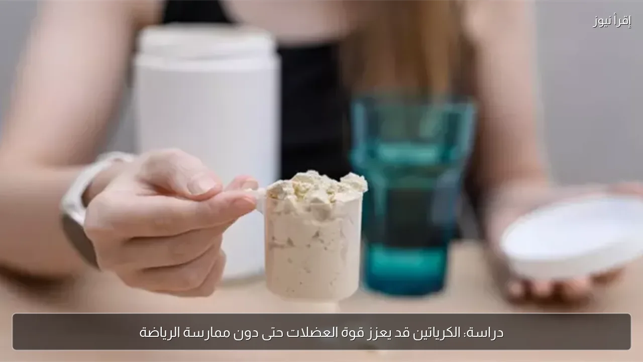 دراسة: الكرياتين قد يعزز قوة العضلات حتى دون ممارسة الرياضة